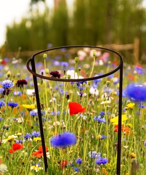 Podpora podpórki metalowa do krzewów kwiatów roślin okrągła 60cm róż mocna