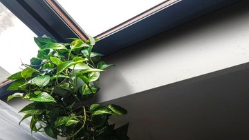 ОКНА СТОЛЕШНИЦЫ ДЛЯ ВАННОЙ КОМНАТЫ из конгломерата КОРОТКИЕ СВИДАНИЯ