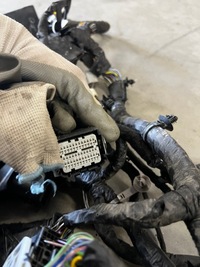 фото thumb №12, Проводка жгут электропроводка салона ford escape mk4