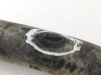 фото thumb №5, Nissan qashqai 2007 шланг / вентиляція картера вентиляції