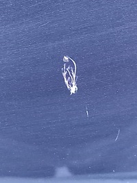 фото thumb №6, Двері лівий перед nissan juke i f15 lift z11g