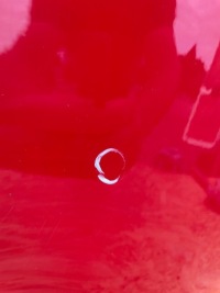 фото thumb №7, Крыло перед передний seat leon iv правый 5fa 20-