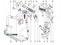Шланг труба пабтрубок  turbo интеркулер renault laguna iii 1.5 dci 8201047770 Цена, фото thumb