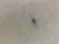 фото thumb №5, Потолок 6j4867501t seat ibiza iv 6j хэтчбек 5-дверь 08-17