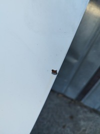 фото thumb №8, Двері зсувні лівий bok бічні citroen berlingo ii iii 2008--- колір запчастина