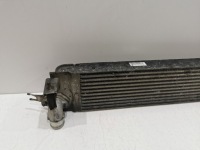 Интеркулер renault koleos 1 2.0dci nissan x-trail 2 2 t31 14461-jg70b в Украине, фото thumb