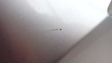 фото thumb №6, Планка крило задній лівий ford grand c-max mk2 oa