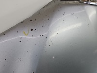 Капот передня alfa romeo 156 сріблястий Зі Шроту, фото thumb