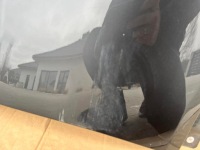 Крила правий mazda mx5 mx-5 iv nd Ціна, фото thumb