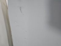 Купити Стеля toyota rav4 iv 20150423 hb, фото thumb