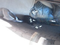 фото thumb №5, Seat leon 3 крышка багажника задняя задняя iii 5d 13r 5f4