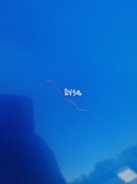 фото thumb №9, Крыло правый перед honda frv fr-v b520p 04-09