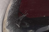 фото thumb №12, Бампер задняя задний grafitowy ford s-max mk1 1 i lift 10-15