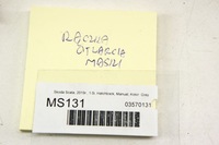 фото thumb №5, Ms131 skoda scala ручка открывания капот