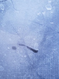 фото thumb №13, Kia rio iii 11-14 бампер перед передний