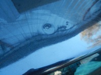 фото thumb №7, Крышка багажника задняя комплектная seat leon ii