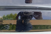 фото thumb №8, Бампер задняя задний volvo xc60 i lift 2013-2017 31323777