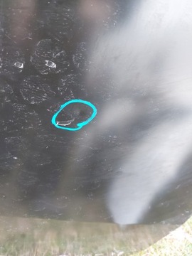 фото thumb №3, Дверь задние багажника mercedes citan правые