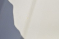 фото thumb №8, Mclaren mp4 spider двері лівий перед ліва передні