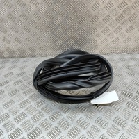 фото thumb №6, Kia ev6 2023 ліва сторона прокладка двері