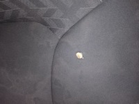 фото thumb №5, Сиденья заднее сиденье clio 4 lift