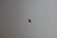 фото thumb №12, Двері праве правий перед передні задня bmw f31 a83