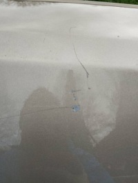 фото thumb №5, Дверь правое задняя задние subaru forester iv sj 4 13-