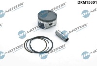 фото thumb №1, Dr.motor drm15601 поршень