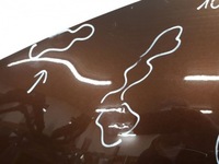 фото thumb №6, Toyota c-hr 2016 капот