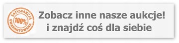 ZASILACZ AWARYJNY PRZETWORNICA UPS REBEL SINUS 800