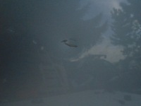 Капот крышка двигателя audi a6 c6 4f ly7w 04-12r с Разборки, фото thumb