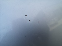 фото thumb №9, Капот крышка двигателя opel zafira a z157 lubelskie