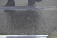 фото thumb №5, Volvo s80 ii дверь левый задняя левая задние