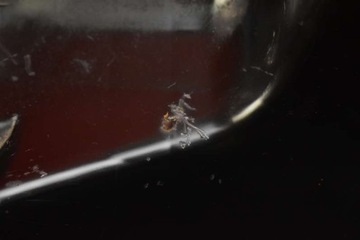 фото thumb №10, Корпус фільтра повітря 13271399 cc fiat croma 2 ii 1.8 16v 140 km 08-11