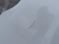 фото thumb №4, Citroen jumpy iii expert proace scudo zafira крыло передний правый