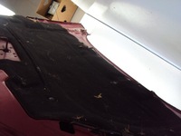 фото thumb №5, Капот peugeot 407 coupe