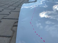 фото thumb №5, Ford mustang 6 vi 19- рестайлинг капот крышка двигателя