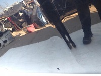 фото thumb №14, Volvo s80 ii v70 iii 07-16 капот крышка двигателя