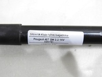фото thumb №6, Амортизаторы амортизаторы крышки peugeot 407 sw
