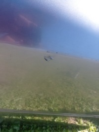 фото thumb №4, Chrysler 300c двері лівий перед