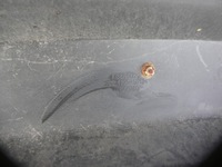 фото thumb №10, Mazda cx-5 cx5 ii 17- бампер задний