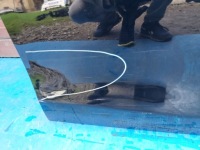 фото thumb №4, Двері праве передні mazda 2 dj 2014r-