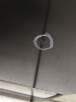 фото thumb №6, Vw passat b7 универсал дверь левый зад lc9x