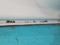 фото thumb №13, Двері перед ліва toyota proace ii 16-23 білий