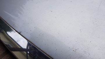 фото thumb №7, Капот kia cerato i hb