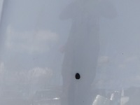 фото thumb №8, Peugeot 407 i капот eylc