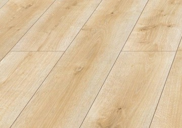 Panele Podłogowe Dąb Scorpio Swiss Krono Platinium AC5 10 mm V4 1.86m2