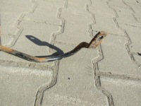 2 mercedes w124 sedan тяга стабилизирующий задний  задний стабилизатор Цена, фото thumb