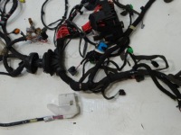 фото thumb №6, Жгут электропроводка проводка laguna iii kombi 2.0 dci 8200601522