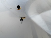 фото thumb №6, Кришка багажника скло задня honda fr-v frv lata 2005-2009 колір nh700m оригінал